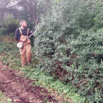 Pruning and hedging services available by the hour, on monthly plans, or as part of a larger garden project