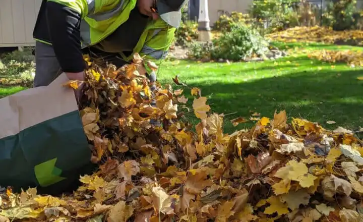 Fallingbrook Landscape Co team at work