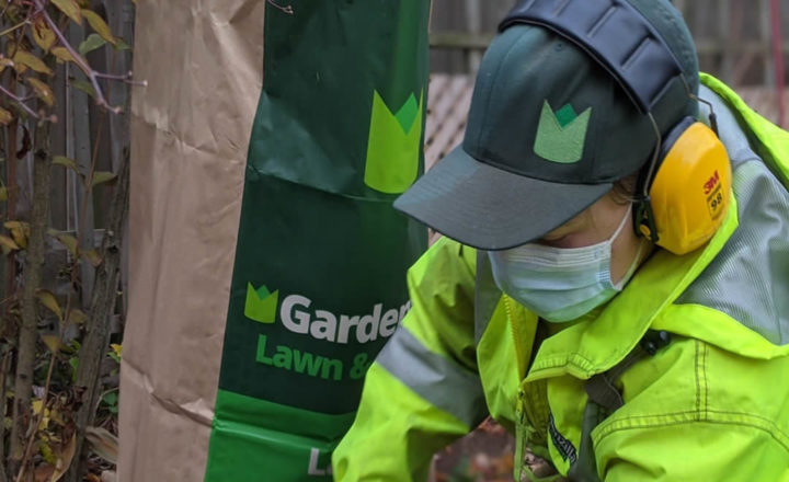 Garden care and cleanups by a gardenzilla staff member