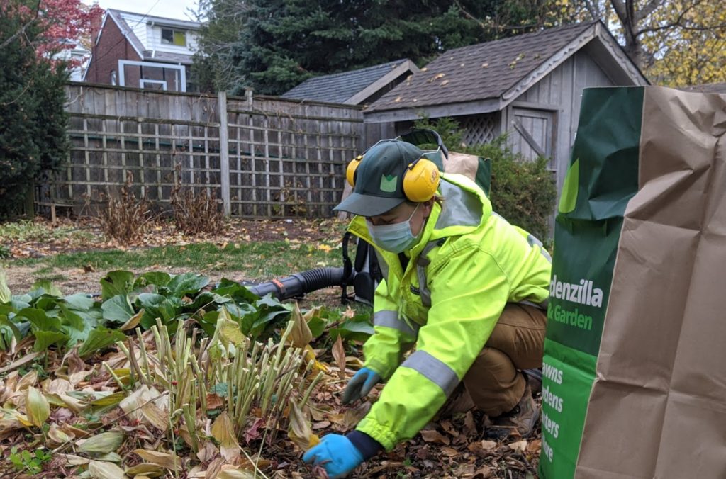 Gardenzilla staff member gardening in a client property, deadheading at end of season