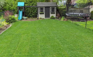 Back lawn, Leaside, sod installation by Gardenzilla