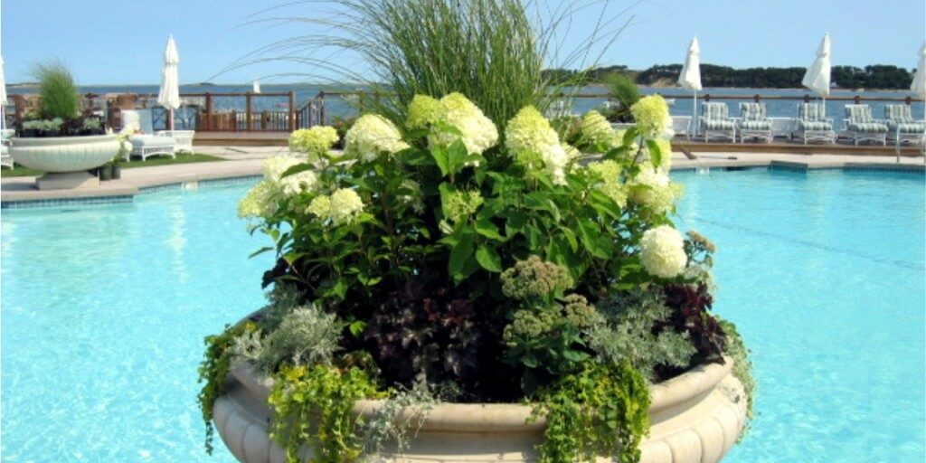 Summer container / seasonal planter by Gardenzilla's Deborah Vivas