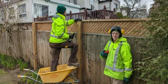 fence repair, tobias and mary