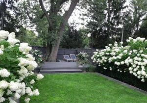 Lawn and garden care client with beautiful hydrangea floral display