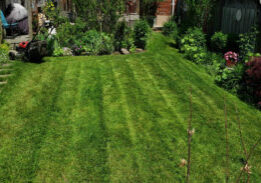 Freshly cut lawn by Gardenzilla Lawn & Garden